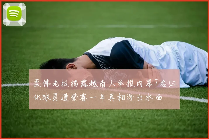 柔佛老板揭露越南人举报内幕7名归化球员遭禁赛一年真相浮出水面
