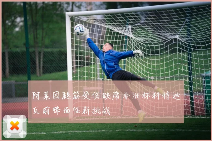 阿莱因腿筋受伤缺席非洲杯科特迪瓦前锋面临新挑战