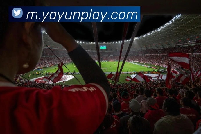 多媒体互动体验